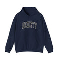 Anxiety University Hoodie – Funny Retro Campus Sweatshirt